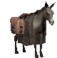 Uživatelský avatar