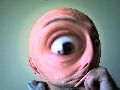 Uživatelský avatar