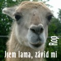 Uživatelský avatar