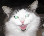Uživatelský avatar