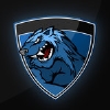 Uživatelský avatar