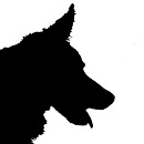 Uživatelský avatar