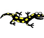 Uživatelský avatar