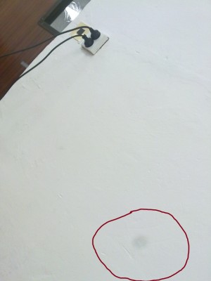 30092010800.jpg
