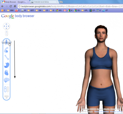Image 3.png