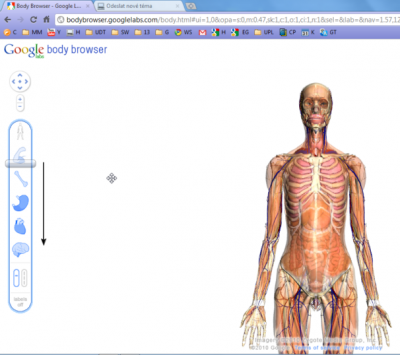 Image 4.png