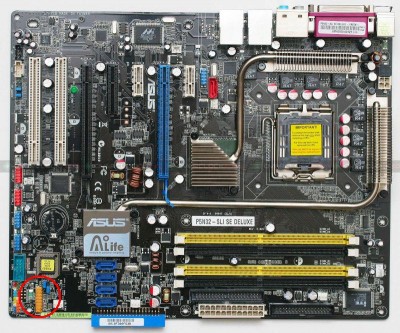 Asus.jpg