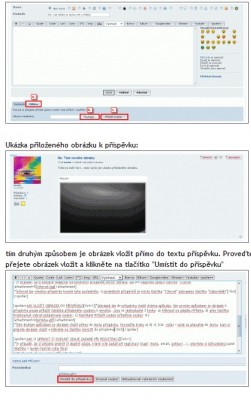 vzhled.jpg