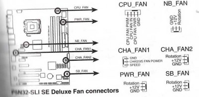 EPSON007.jpg