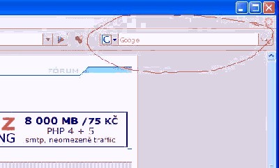 google.JPG