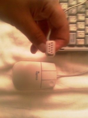 IMAG0017.jpg