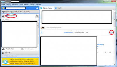 Skype.png