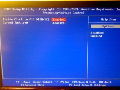 BIOS2.jpg