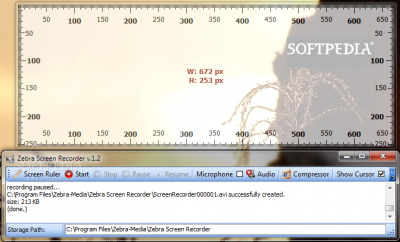 Zebra-Screen-Recorder_1.png