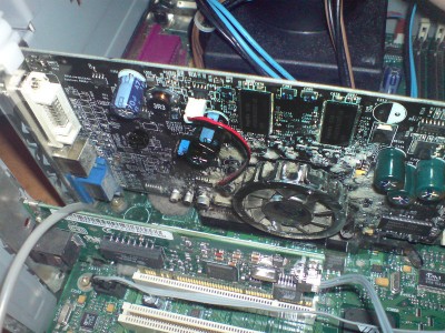 dsc00casd191bd.jpg