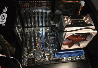 C.M + Noctua.jpg