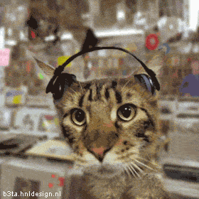 houseja5.gif