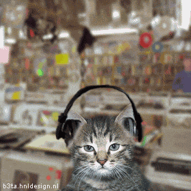 steviewonderek4.gif
