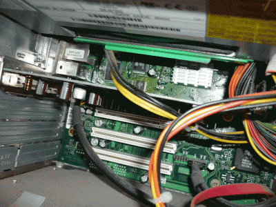 P1000198.gif