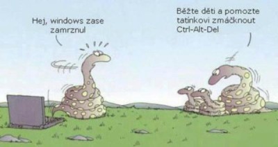 hadi.jpg