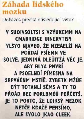 cteni-textu.jpg