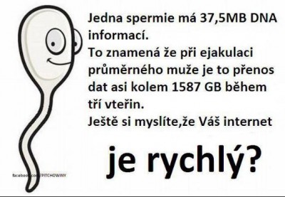 rych.JPG