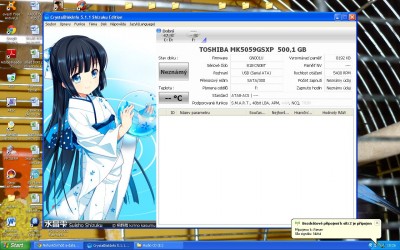 disk.JPG