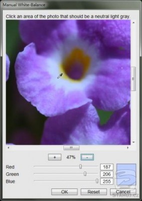 _detail--mm580x464.jpg