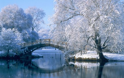 4_hi-res_winter-wallpapers_011.jpg