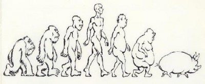 evoluce_prase_1.jpg
