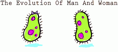 evoluce_man_and_woman_anim.gif