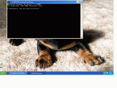 m.GIF