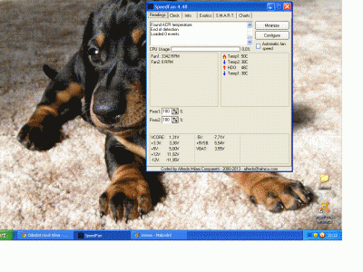 www.GIF