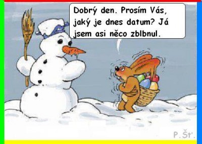 zblbnuty zajic .jpg