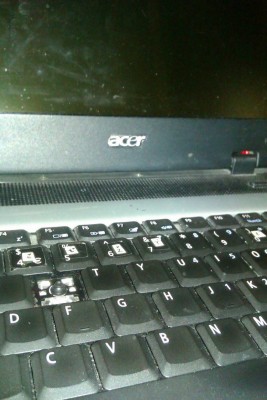 Acer.jpg