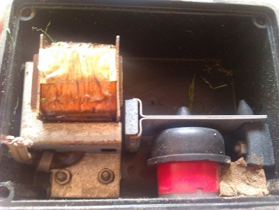 IMAG0803.jpg