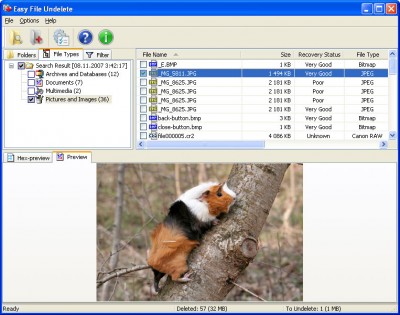 easy-file-undelete-26.jpg