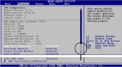 BIOS Setup.jpg