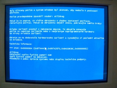S6300977.jpg