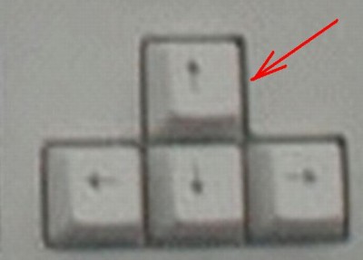 Bez názvu.JPG