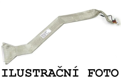 2ACCL.jpg