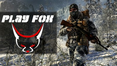 play fox.jpg