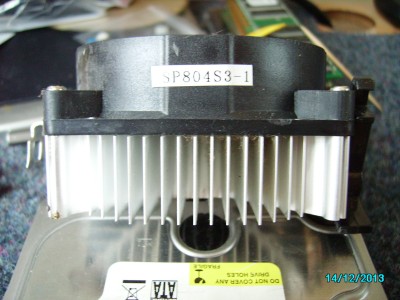 IMGP3720.JPG