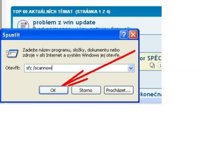 Bez názvu.JPG