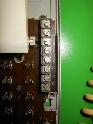 DSCN7103.JPG