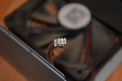 DSC_0377.JPG