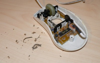 intellimouse-spina-celek.jpg