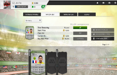 fifa.png