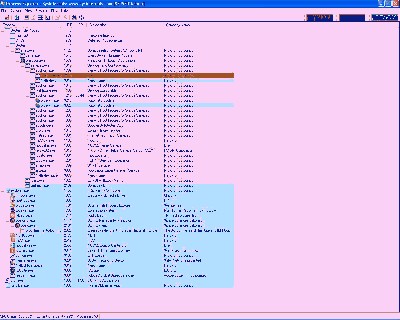 screen.JPG