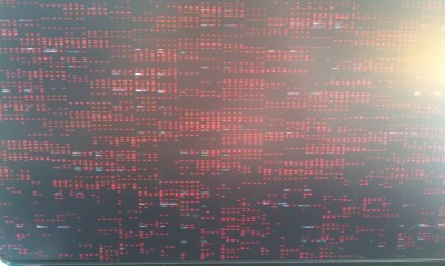 IMAG0040.jpg